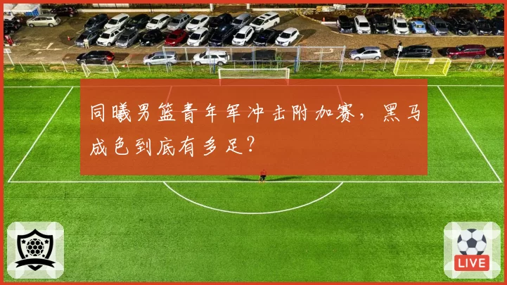 同曦男篮青年军冲击附加赛,黑马成色到底有多足?