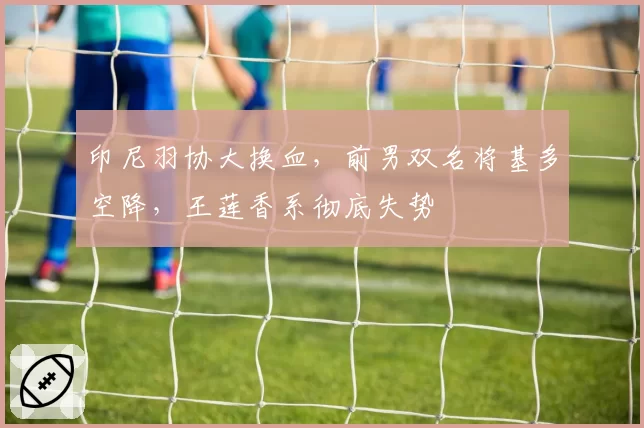 印尼羽协大换血,前男双名将基多空降,王莲香系彻底失势